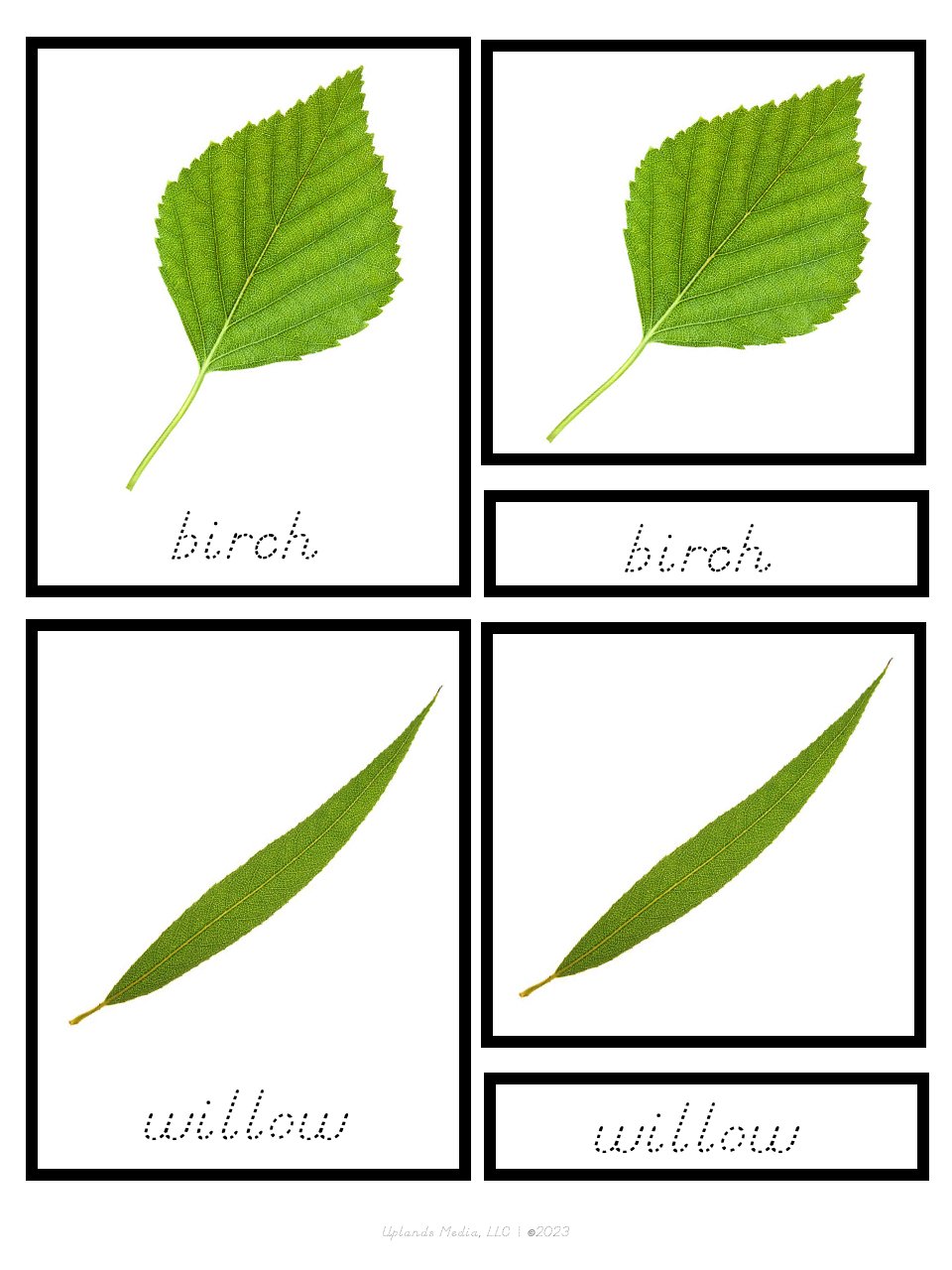[3 Part Cards] Types of Leaves - Printables by Carrots Are Orange