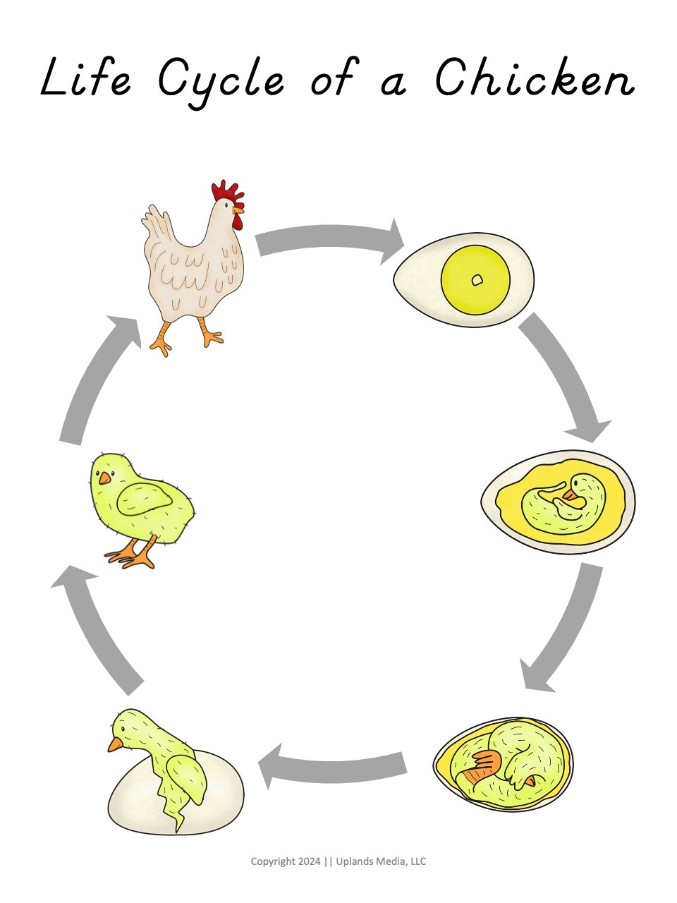 [Activities Pack] Chicken Theme - Printables by Carrots Are Orange