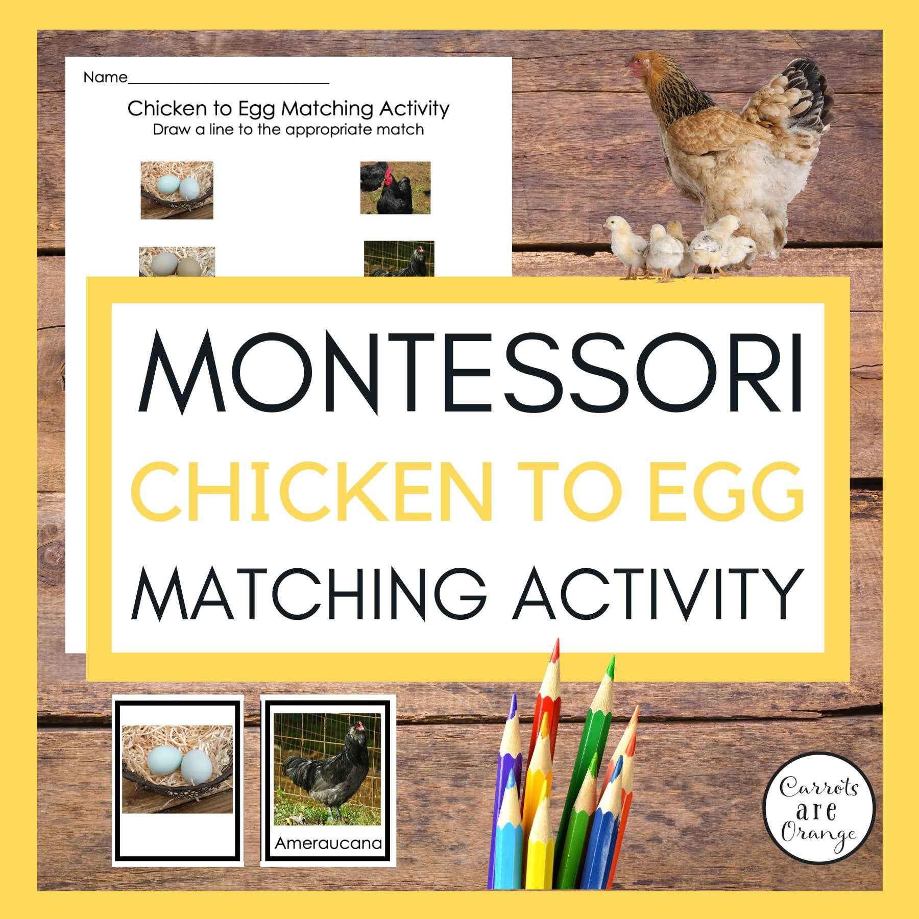🐣 Chicken to Egg Matching Activity - Printables by Carrots Are Orange