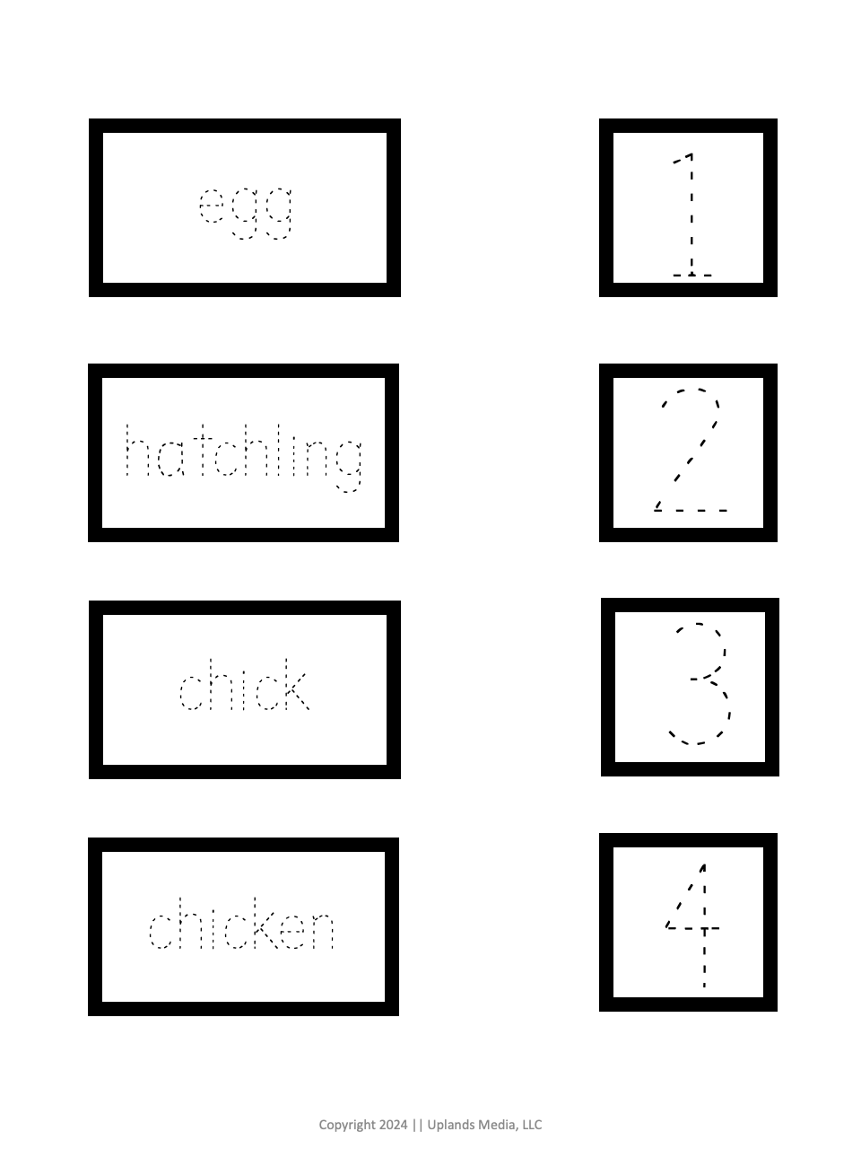 🐣 Life Cycle Activities [Chicken Theme] - Printables by Carrots Are Orange