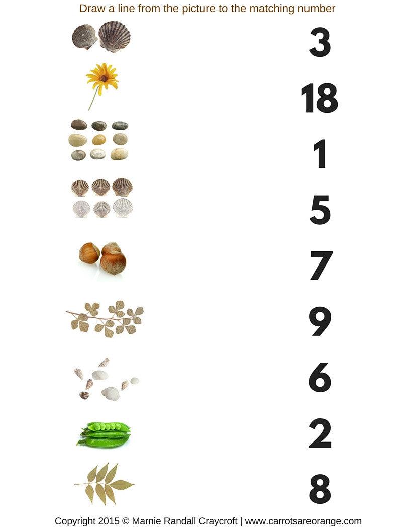 🪵 Math Activities - Nature Theme - Printables by Carrots Are Orange