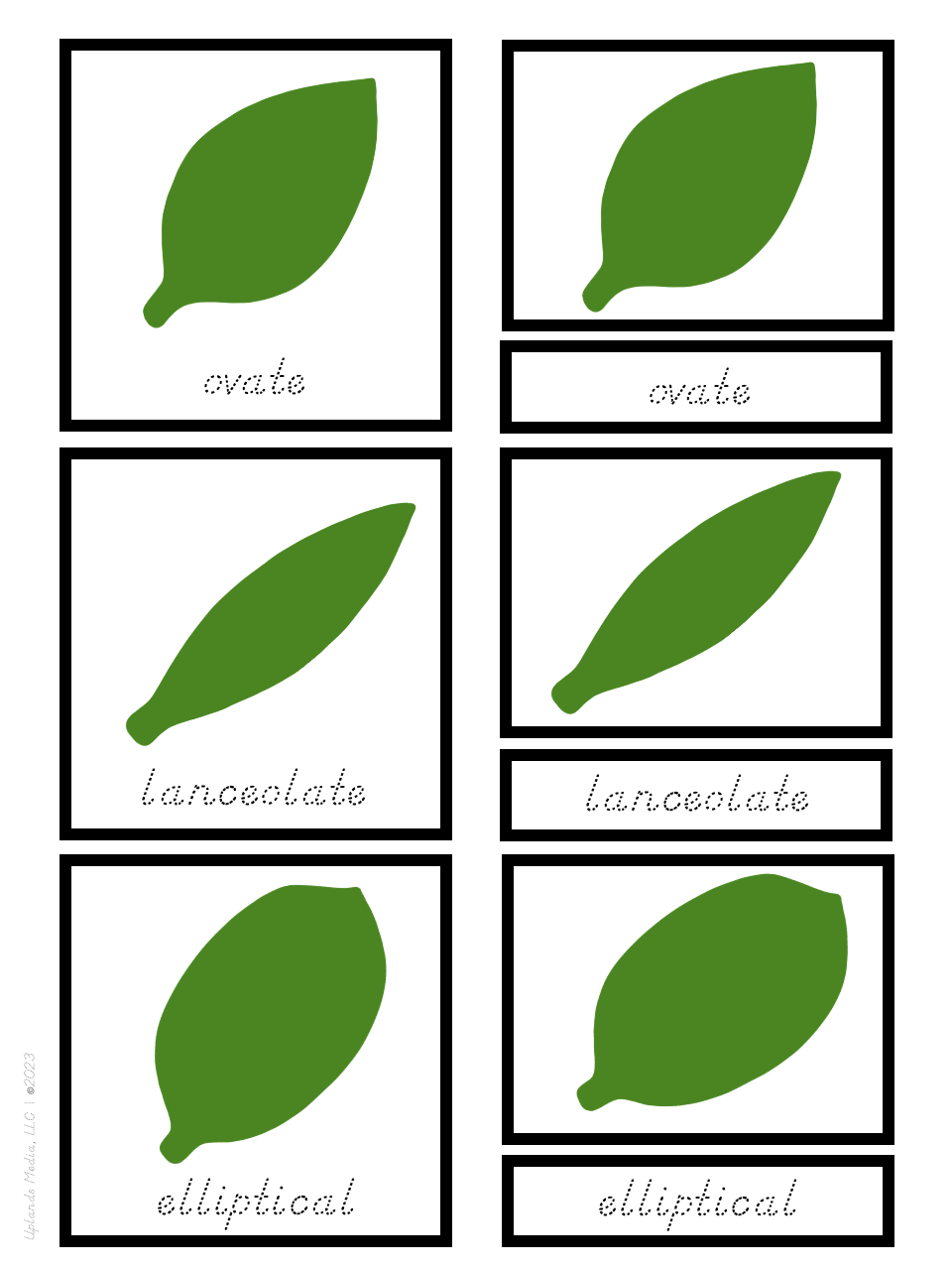 [3 Part Cards] Leaf Shapes - Printables by Carrots Are Orange