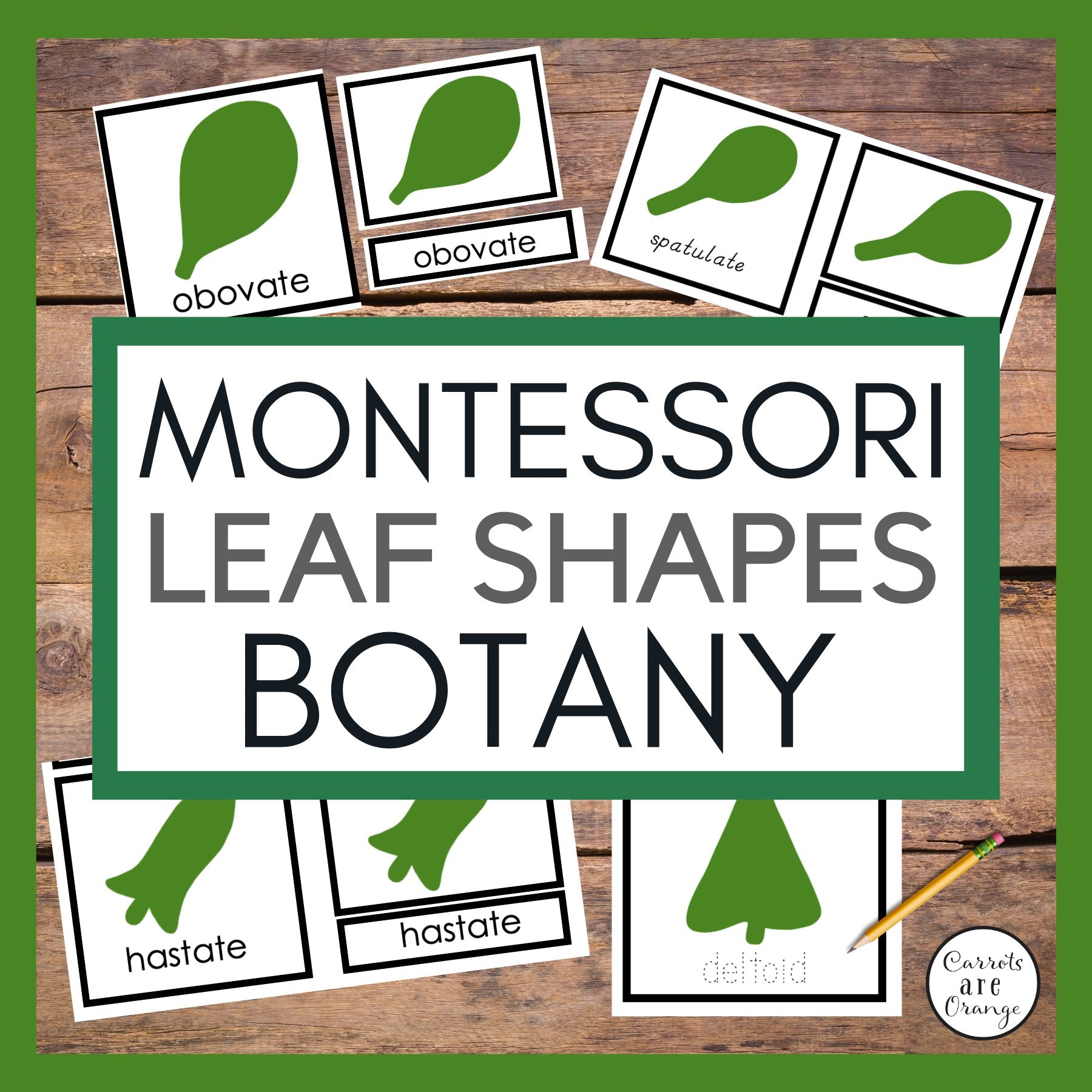 [3 Part Cards] Leaf Shapes - Printables by Carrots Are Orange