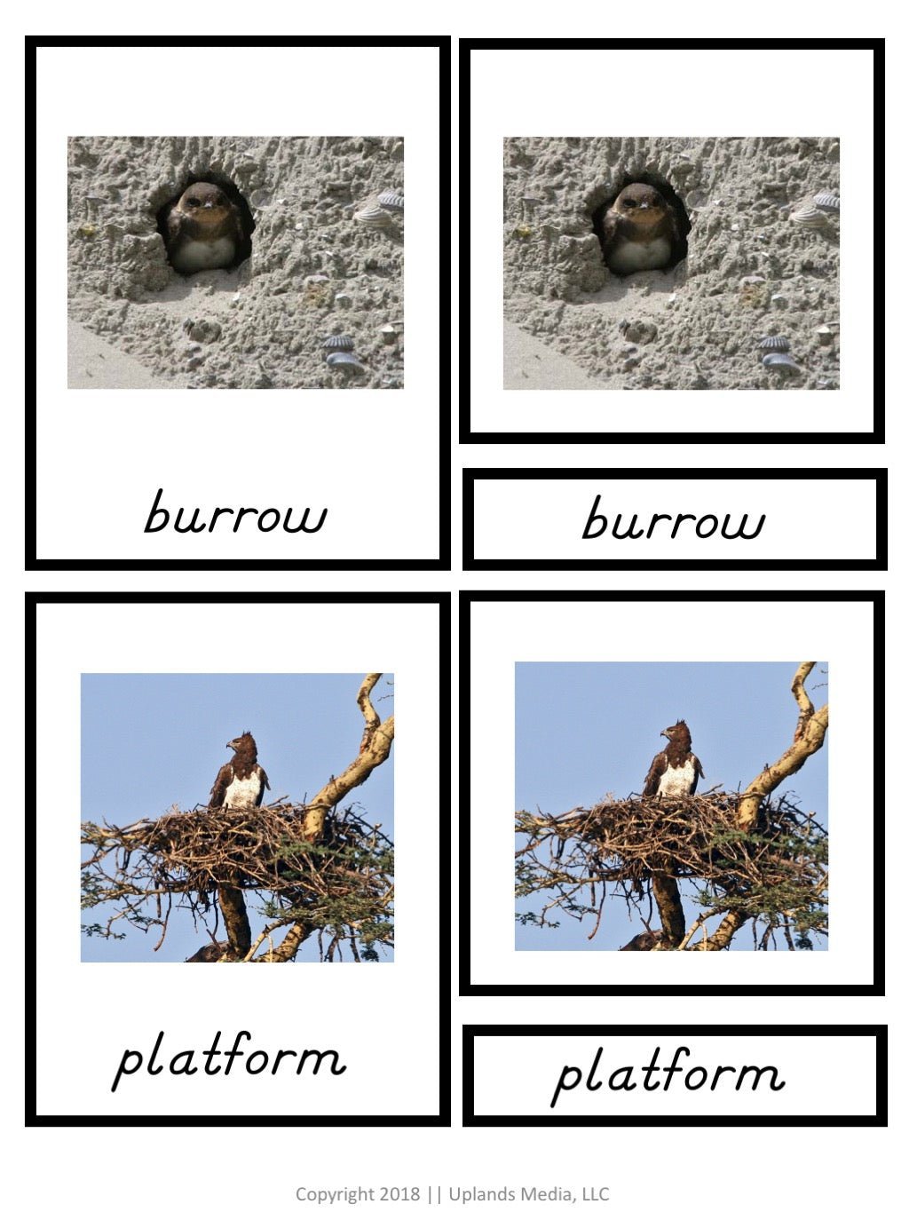 [3 Part Cards] Types of Bird Nests - Printables by Carrots Are Orange
