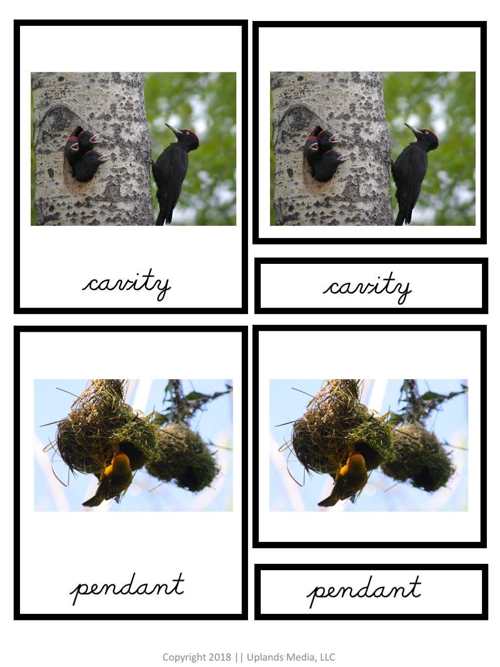 [3 Part Cards] Types of Bird Nests - Printables by Carrots Are Orange
