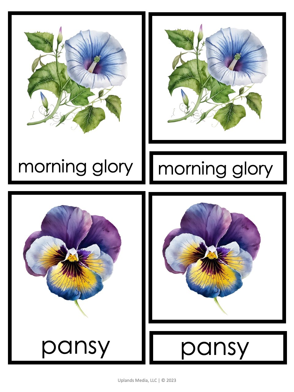 [3 Part Cards] Types of Flowers - Printables by Carrots Are Orange
