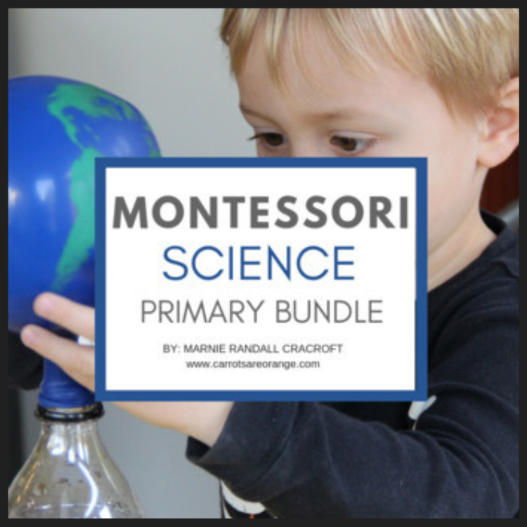 Montessori Science Activities Bundle