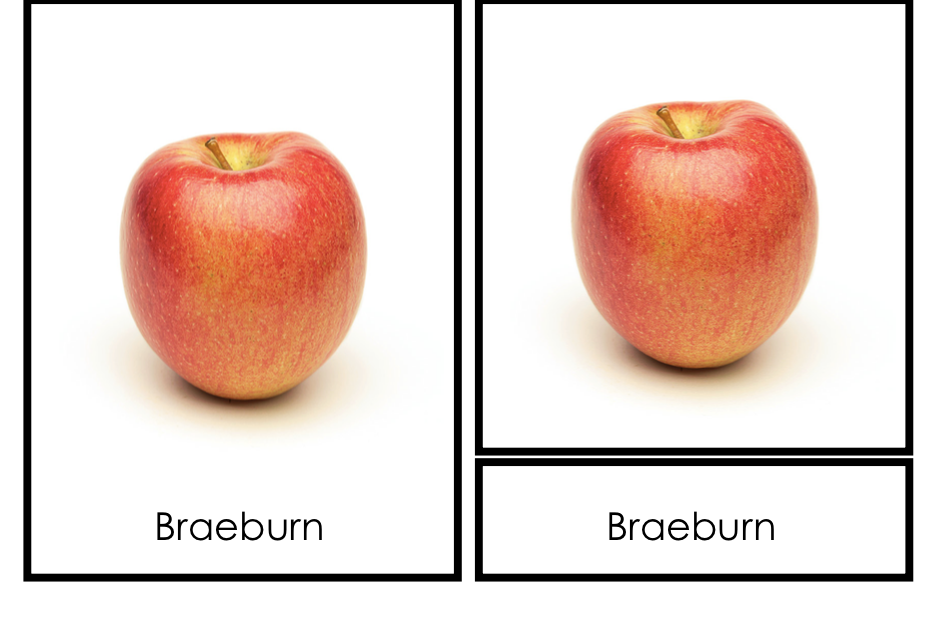 [3 Part Cards] Types of Apples
