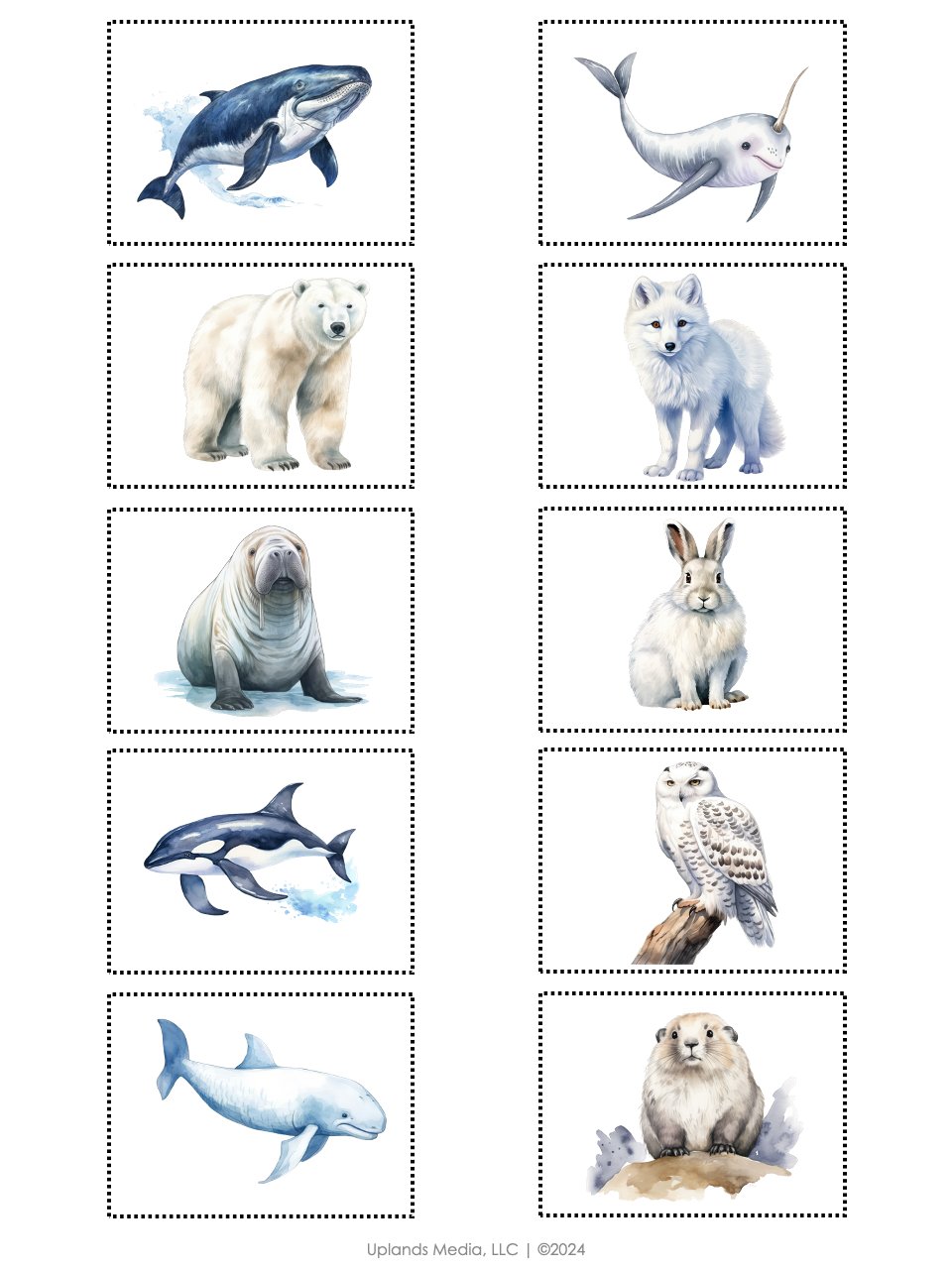 🐻‍❄️ Activities Pack [Arctic Theme] - Printables by Carrots Are Orange