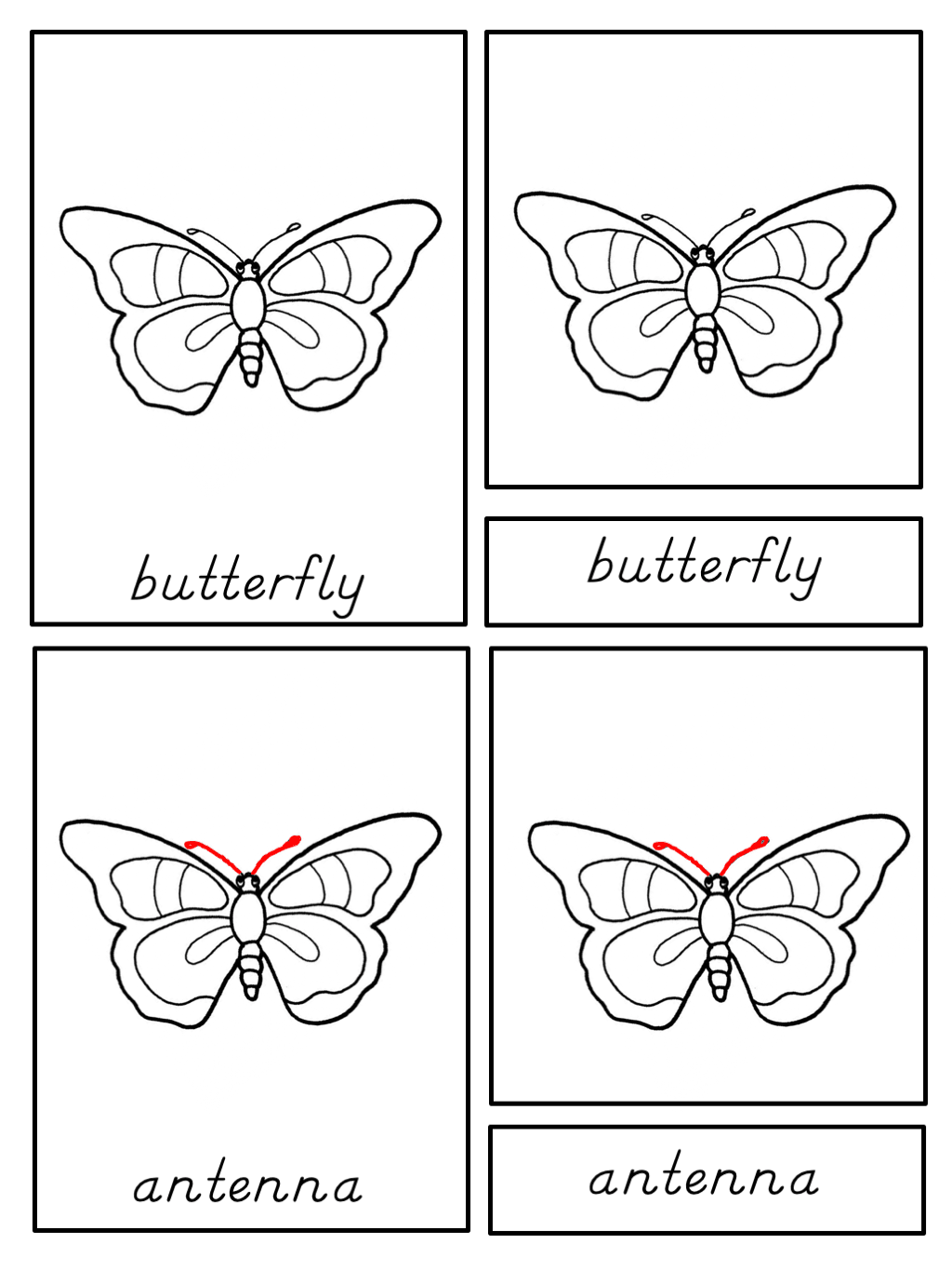 [Activities Pack] Butterfly Theme - Printables by Carrots Are Orange