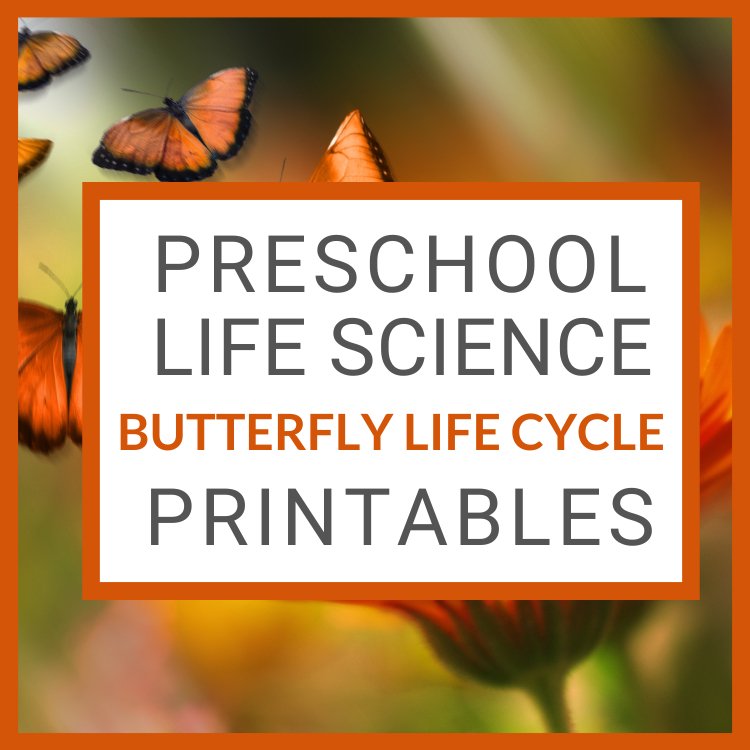 [Activities Pack] Butterfly Theme - Printables by Carrots Are Orange