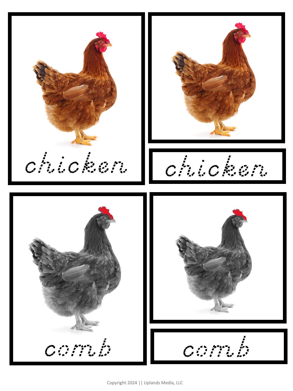 [Activities Pack] Chicken Theme - Printables by Carrots Are Orange
