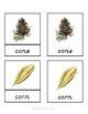 [Activities Pack] Fall Theme - Printables by Carrots Are Orange