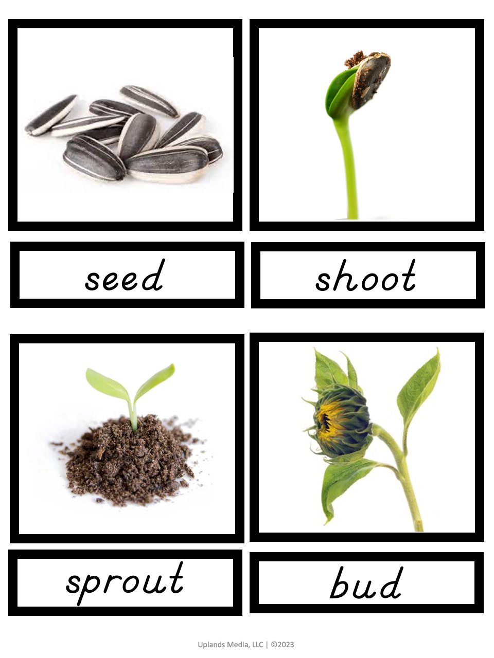 [Activities Pack] Flower Theme - Printables by Carrots Are Orange