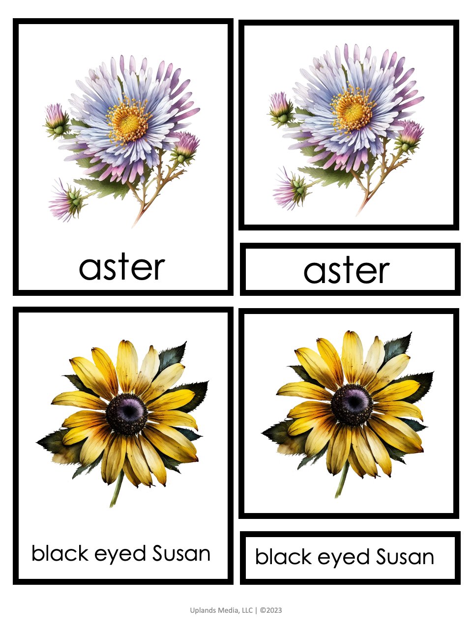 [Activities Pack] Flower Theme - Printables by Carrots Are Orange