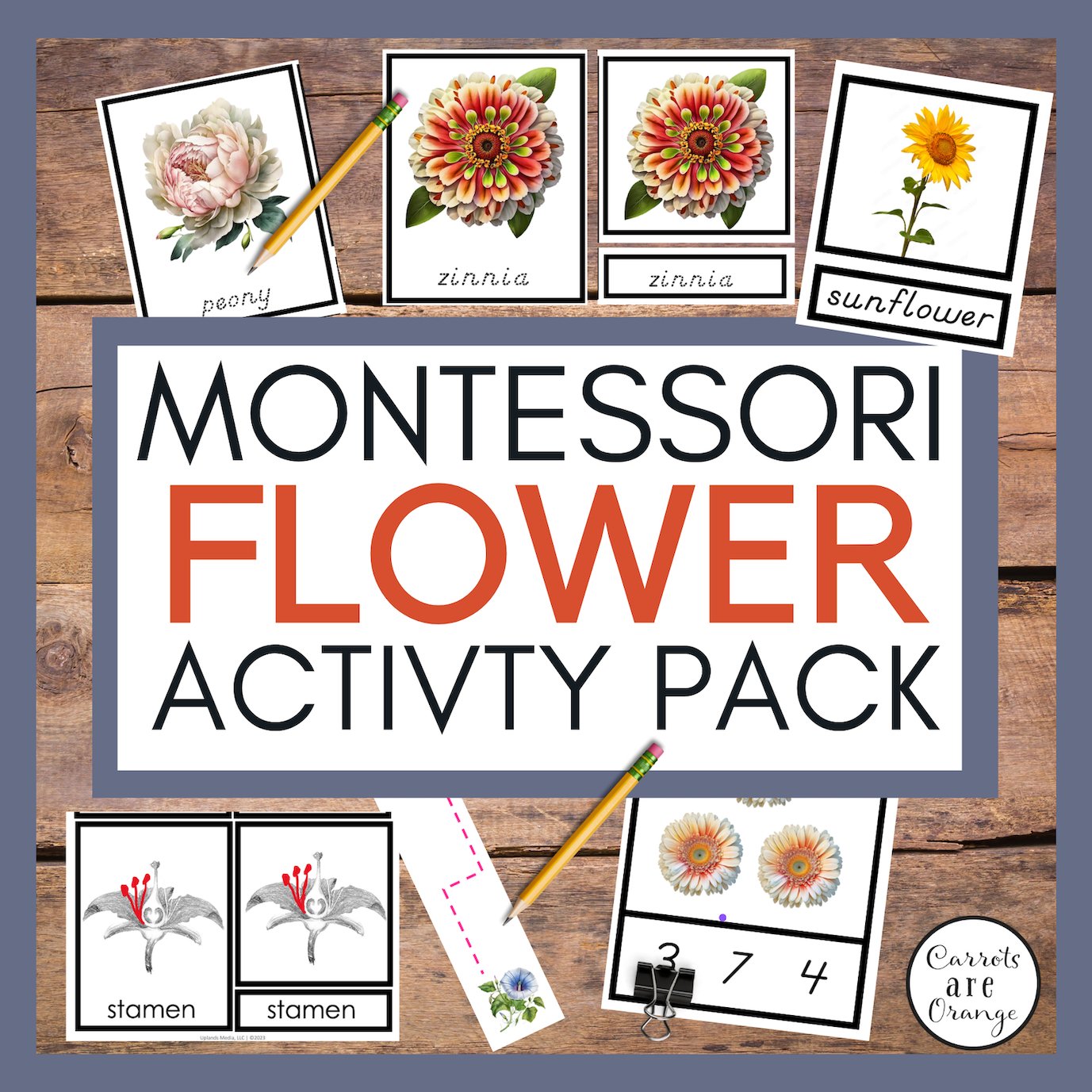[Activities Pack] Flower Theme - Printables by Carrots Are Orange