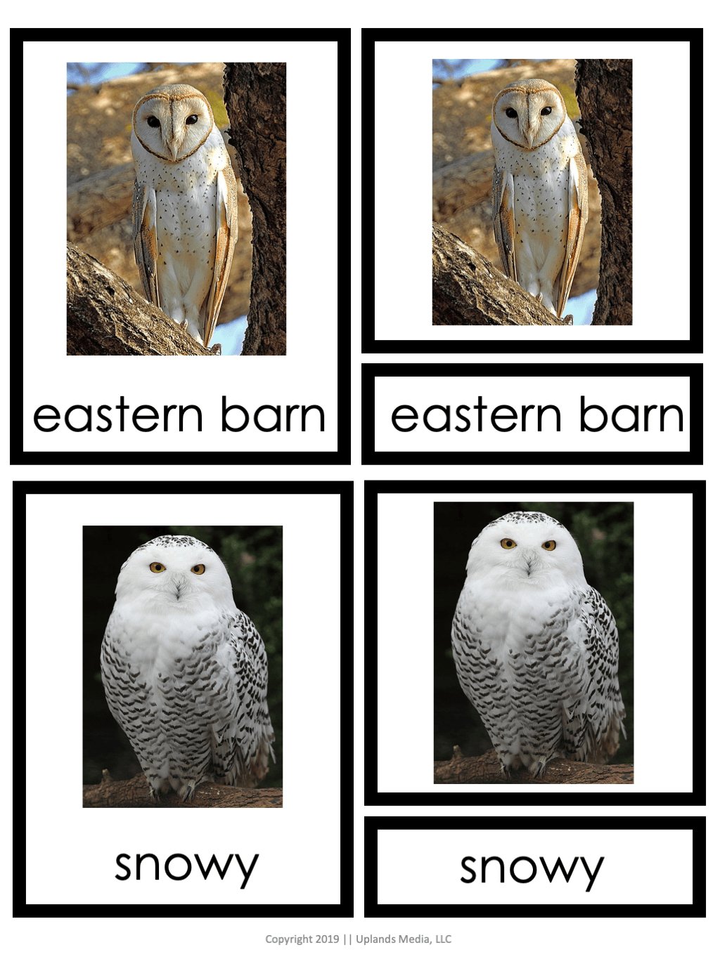 [Activities Pack] Owl Theme - Printables by Carrots Are Orange