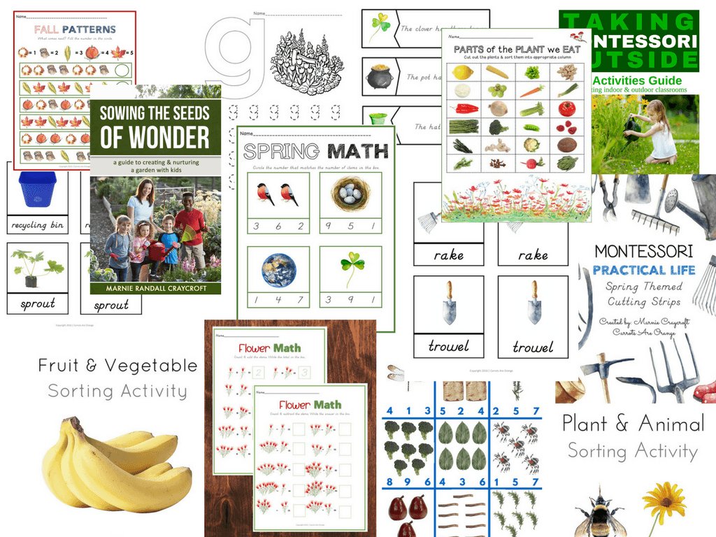 [All Access] Montessori Printables Store for a Lifetime - Printables by Carrots Are Orange