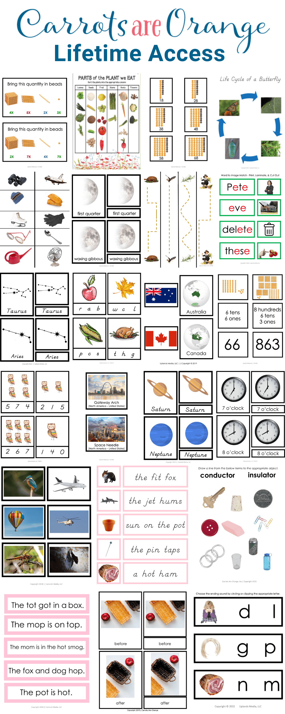 [All Access] Montessori Printables Store for a Lifetime - Printables by Carrots Are Orange