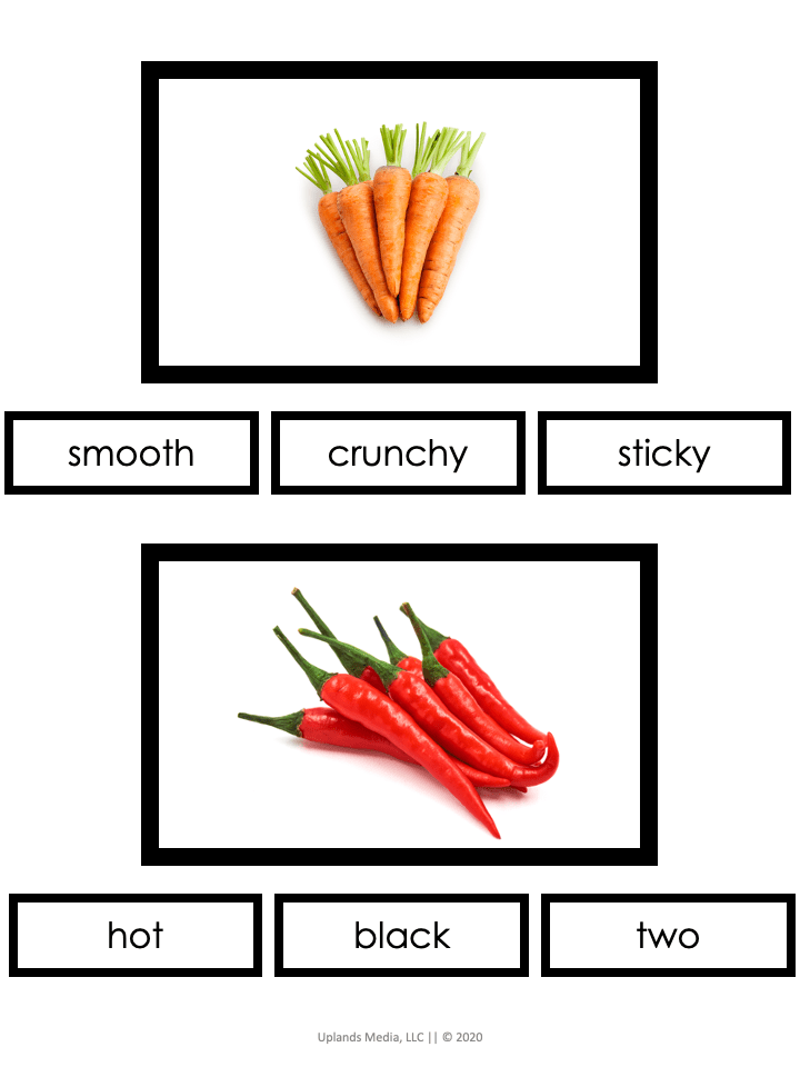 [Bundle] Language - Grammar - Printables by Carrots Are Orange