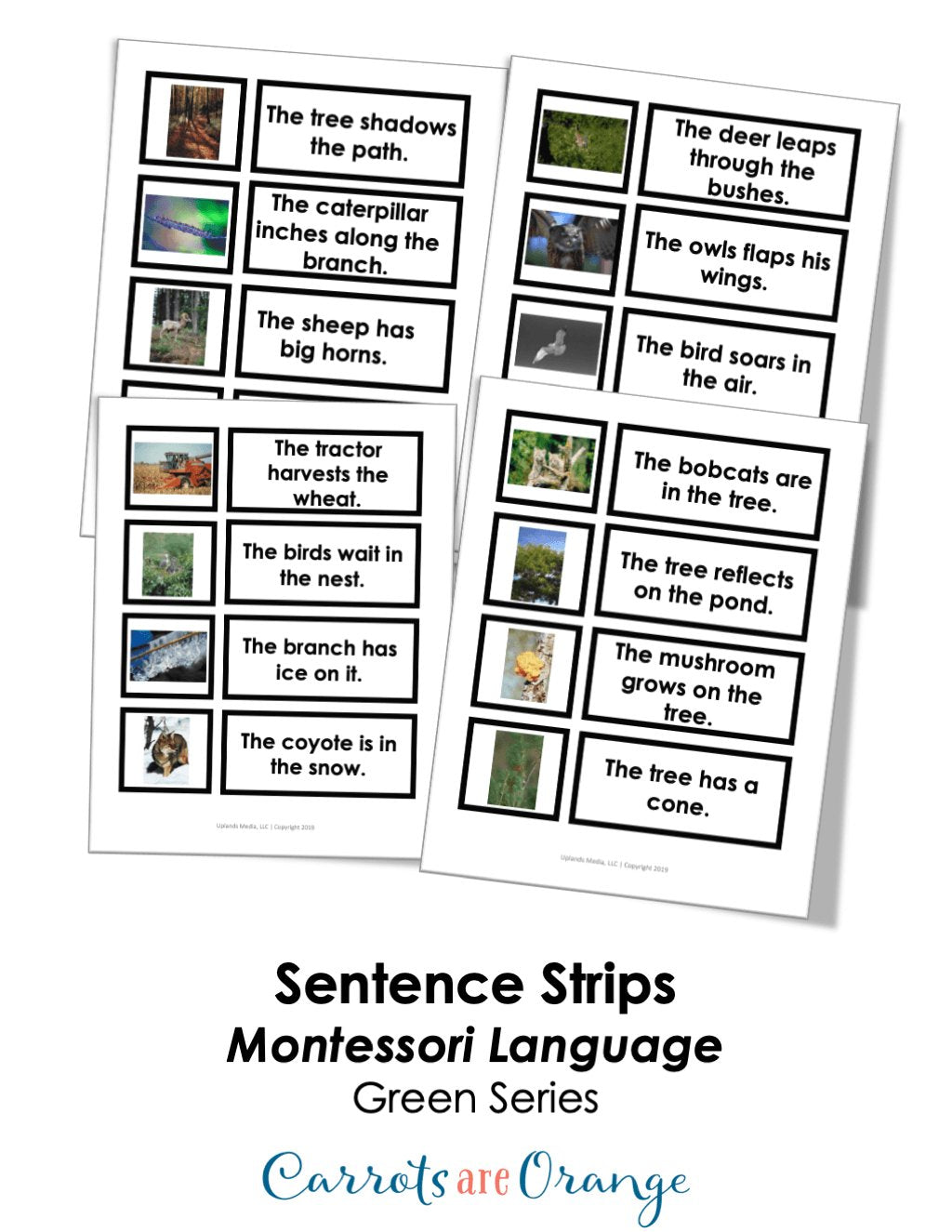 [Bundle] Language - Green Level - Printables by Carrots Are Orange