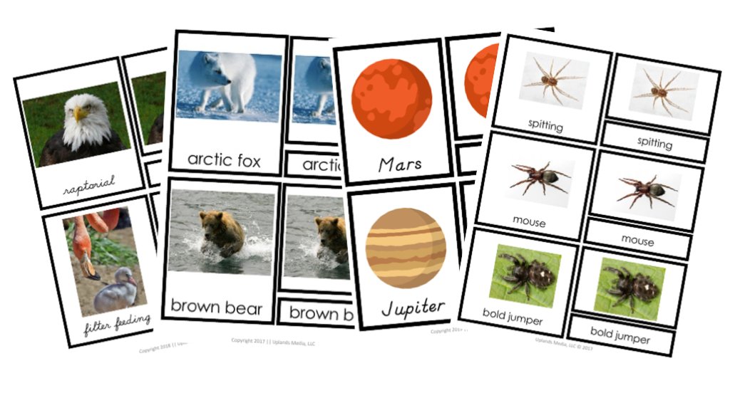 [Bundle] Montessori 3 Part Cards - Printables by Carrots Are Orange