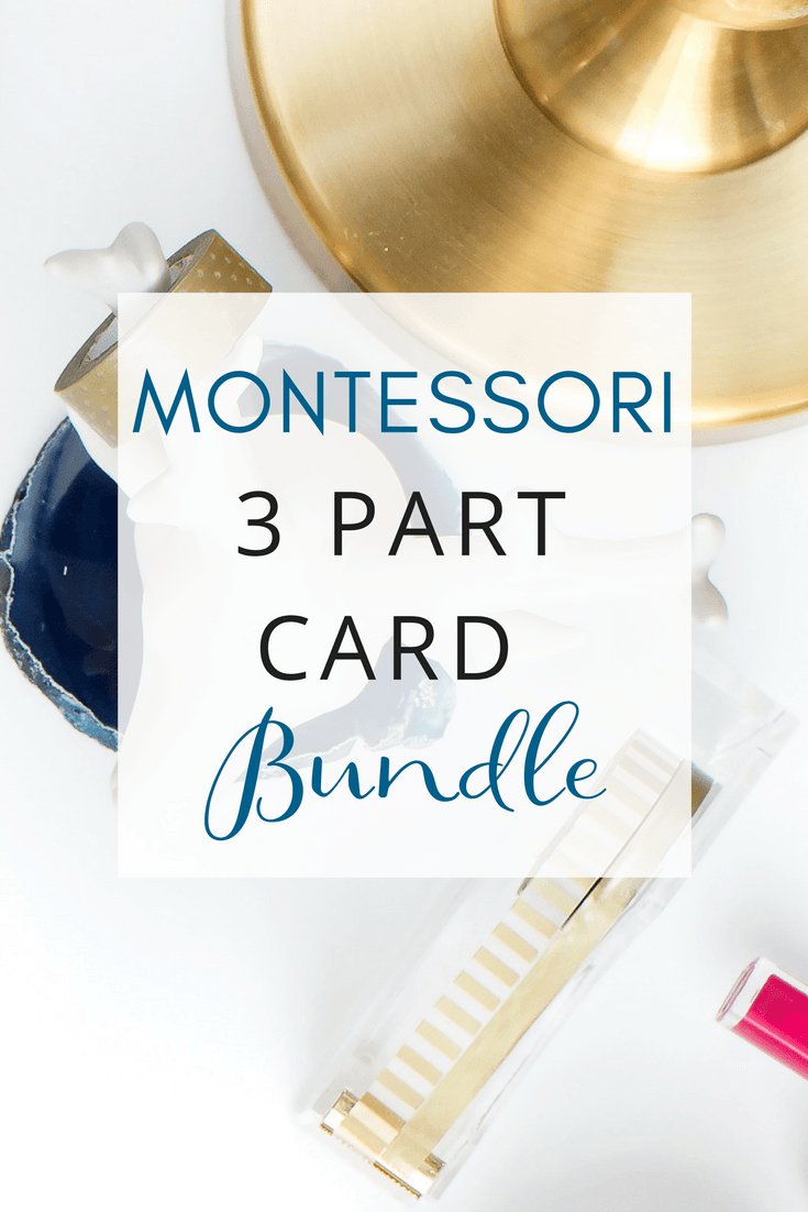 [Bundle] Montessori 3 Part Cards - Printables by Carrots Are Orange