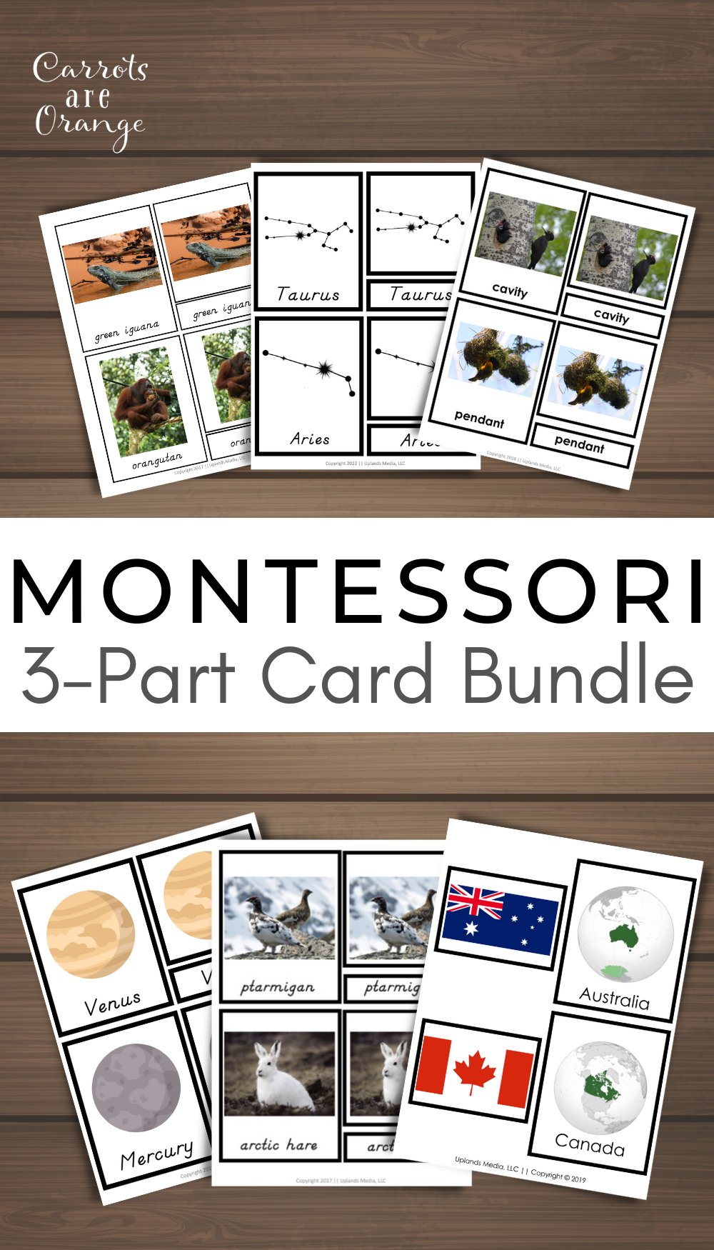 [Bundle] Montessori 3 Part Cards - Printables by Carrots Are Orange