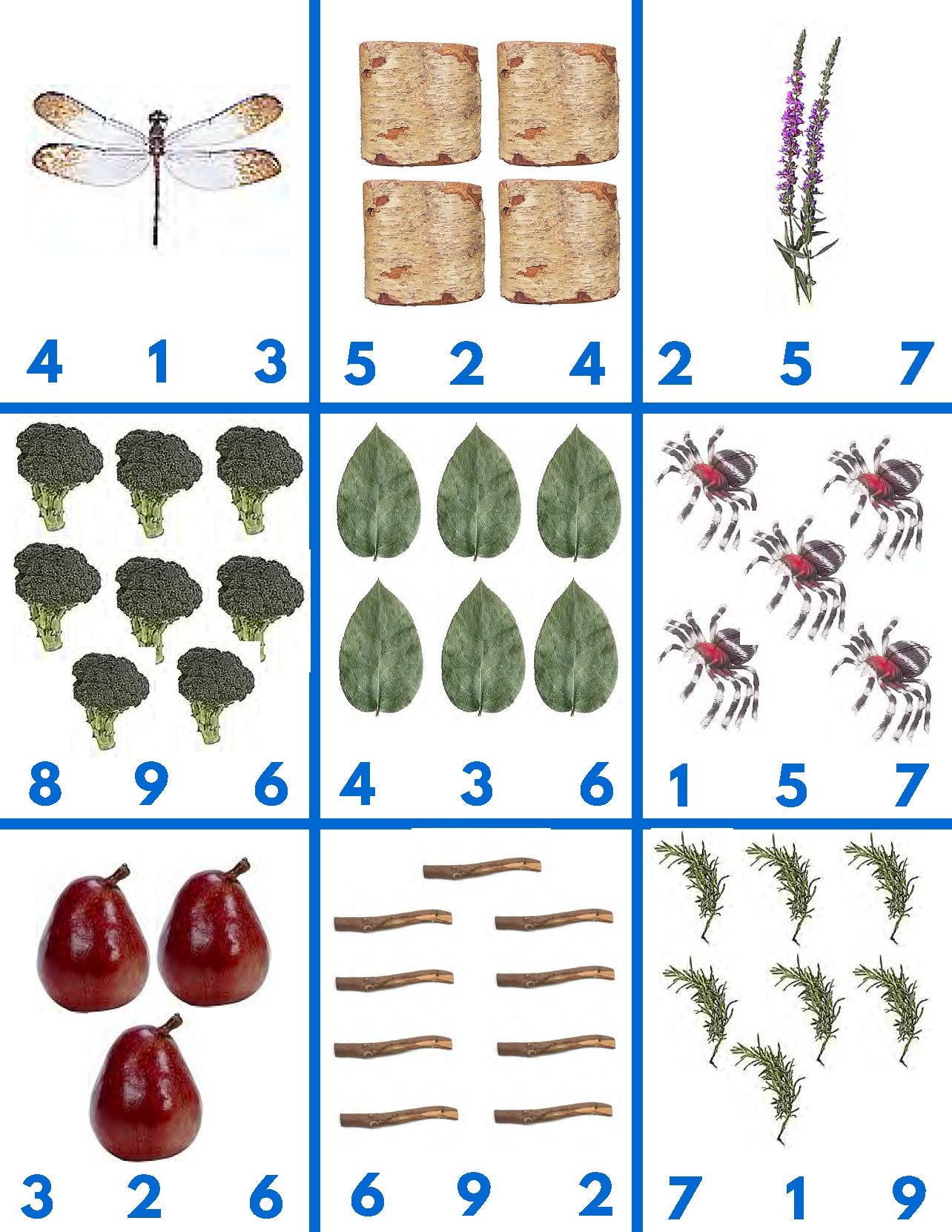 [Bundle] Montessori Math - Printables by Carrots Are Orange
