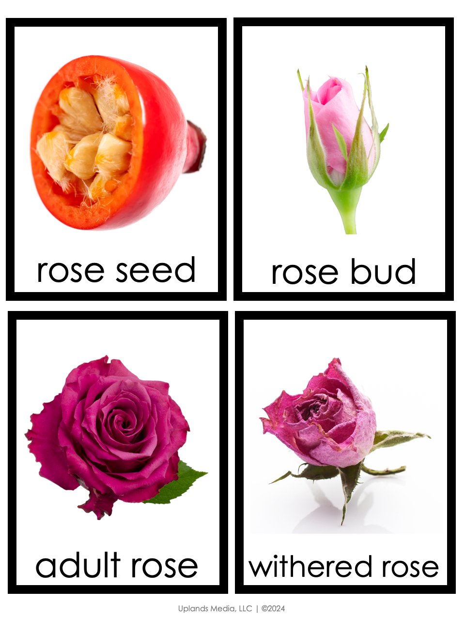 🏹 February / Valentine Montessori Activities Pack for Preschoolers - Printables by Carrots Are Orange