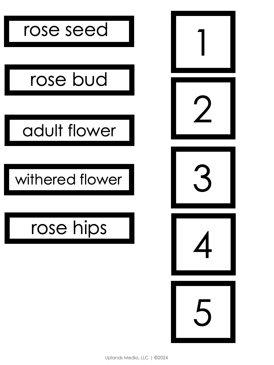 🏹 February / Valentine Montessori Activities Pack for Preschoolers - Printables by Carrots Are Orange