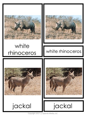 [Geography] 3 Part Cards - Animal Habitats - Animals of the Desert - Printables by Carrots Are Orange