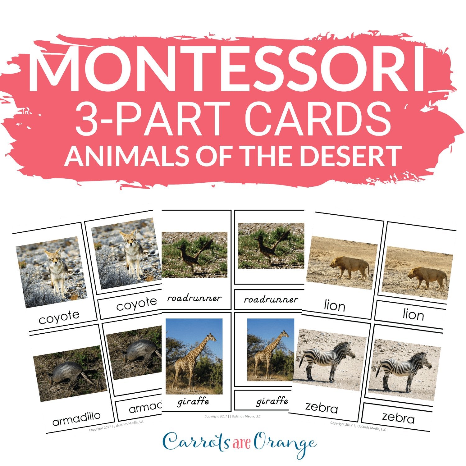 [Geography] 3 Part Cards - Animal Habitats - Animals of the Desert - Printables by Carrots Are Orange