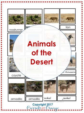 [Geography] 3 Part Cards - Animal Habitats - Animals of the Desert - Printables by Carrots Are Orange