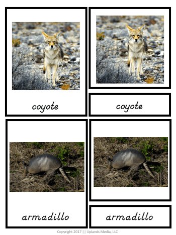 [Geography] 3 Part Cards - Animal Habitats - Animals of the Desert - Printables by Carrots Are Orange