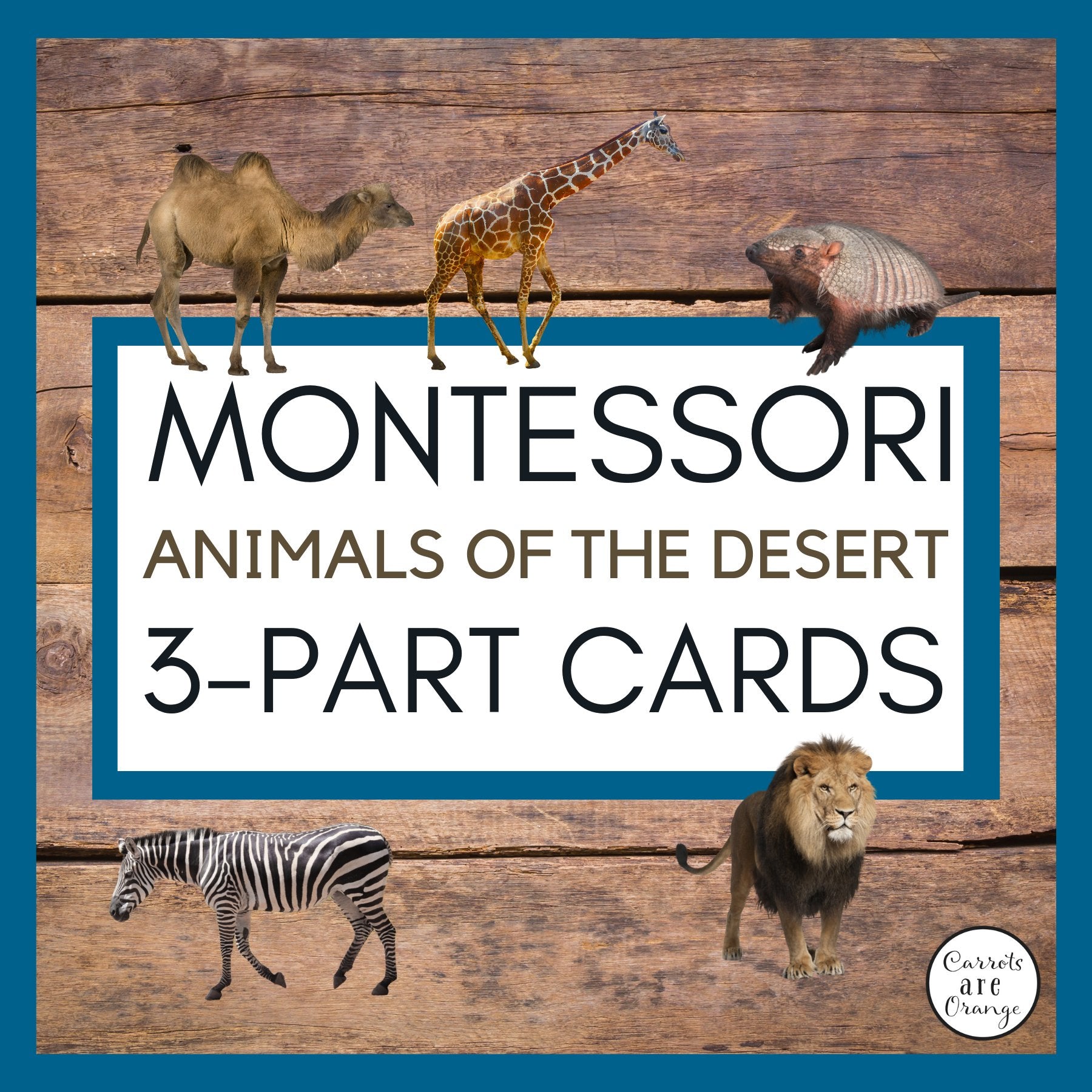 [Geography] 3 Part Cards - Animal Habitats - Animals of the Desert - Printables by Carrots Are Orange