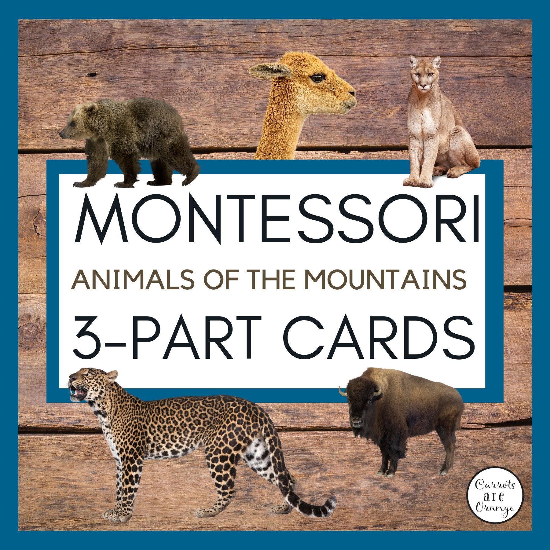 [Geography] 3 Part Cards - Animal Habitats - Animals of the Mountains - Printables by Carrots Are Orange