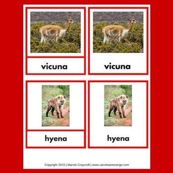 [Geography] 3 Part Cards - Animal Habitats - Animals of the Mountains - Printables by Carrots Are Orange