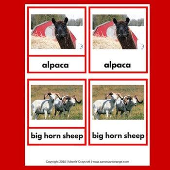 [Geography] 3 Part Cards - Animal Habitats - Animals of the Mountains - Printables by Carrots Are Orange