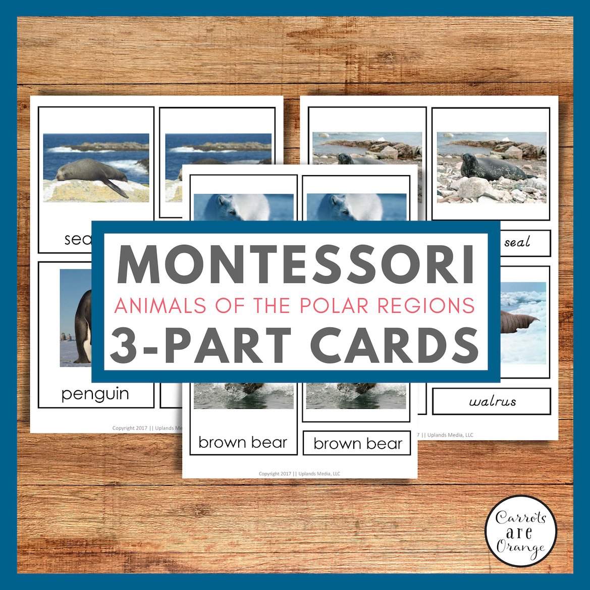 [Geography] 3 Part Cards - Animal Habitats - Animals of the Polar Regions - Printables by Carrots Are Orange