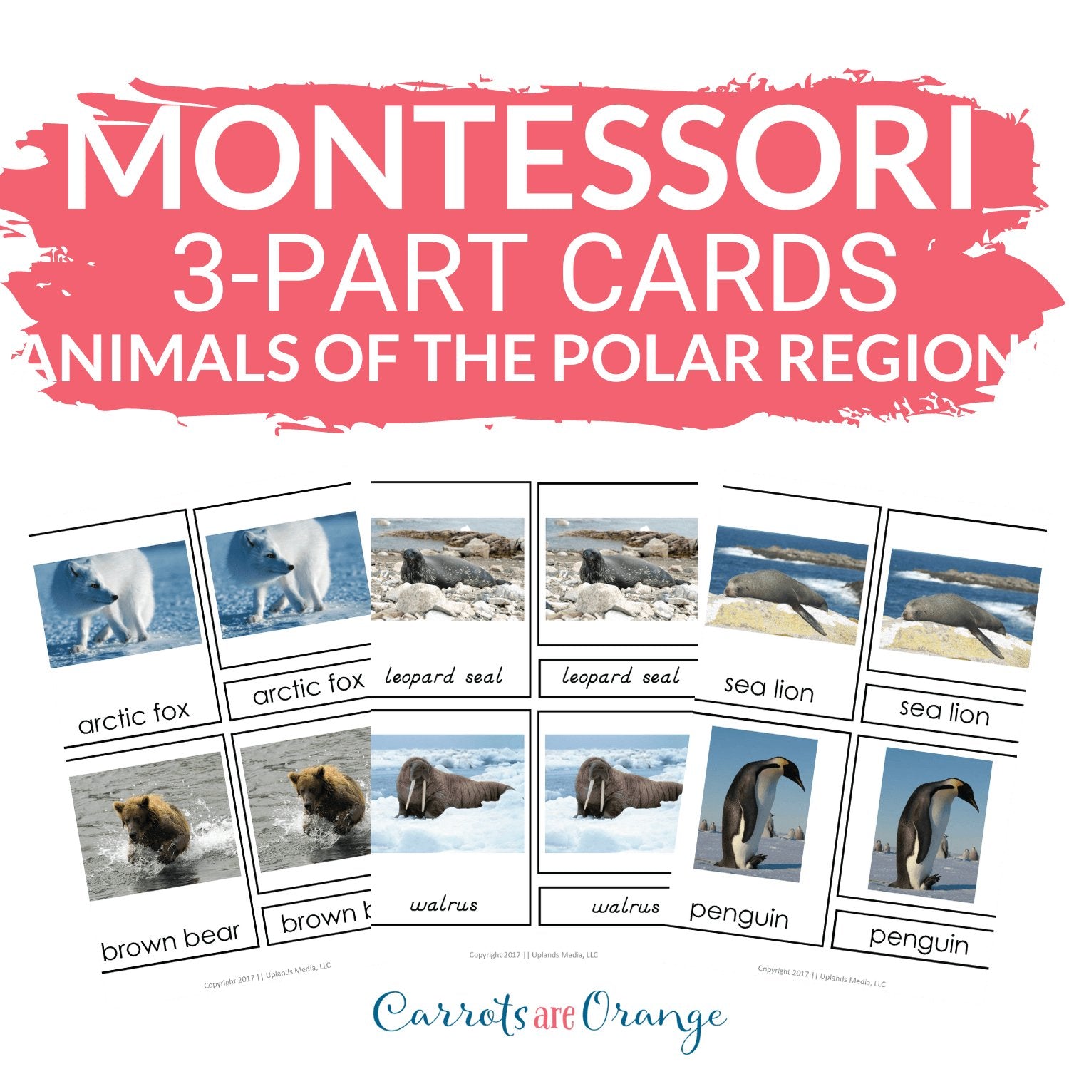 [Geography] 3 Part Cards - Animal Habitats - Animals of the Polar Regions - Printables by Carrots Are Orange