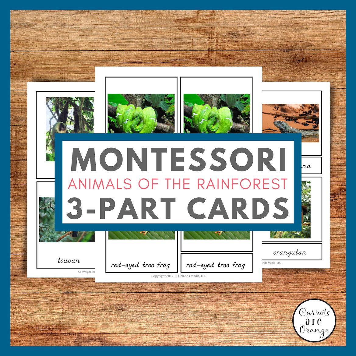 [Geography] 3 Part Cards - Animal Habitats - Animals of the Rainforest - Printables by Carrots Are Orange