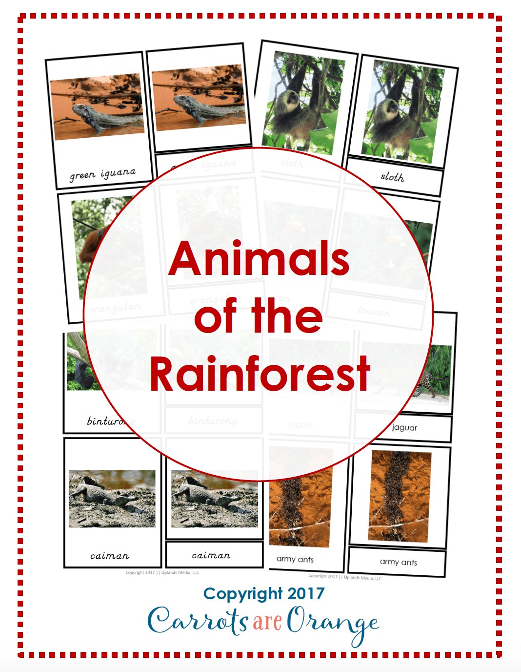 [Geography] 3 Part Cards - Animal Habitats - Animals of the Rainforest - Printables by Carrots Are Orange