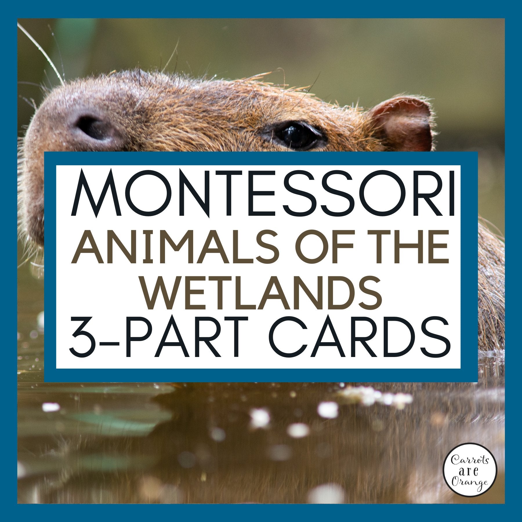 [Geography] 3 Part Cards - Animal Habitats - Animals of the Wetlands - Printables by Carrots Are Orange