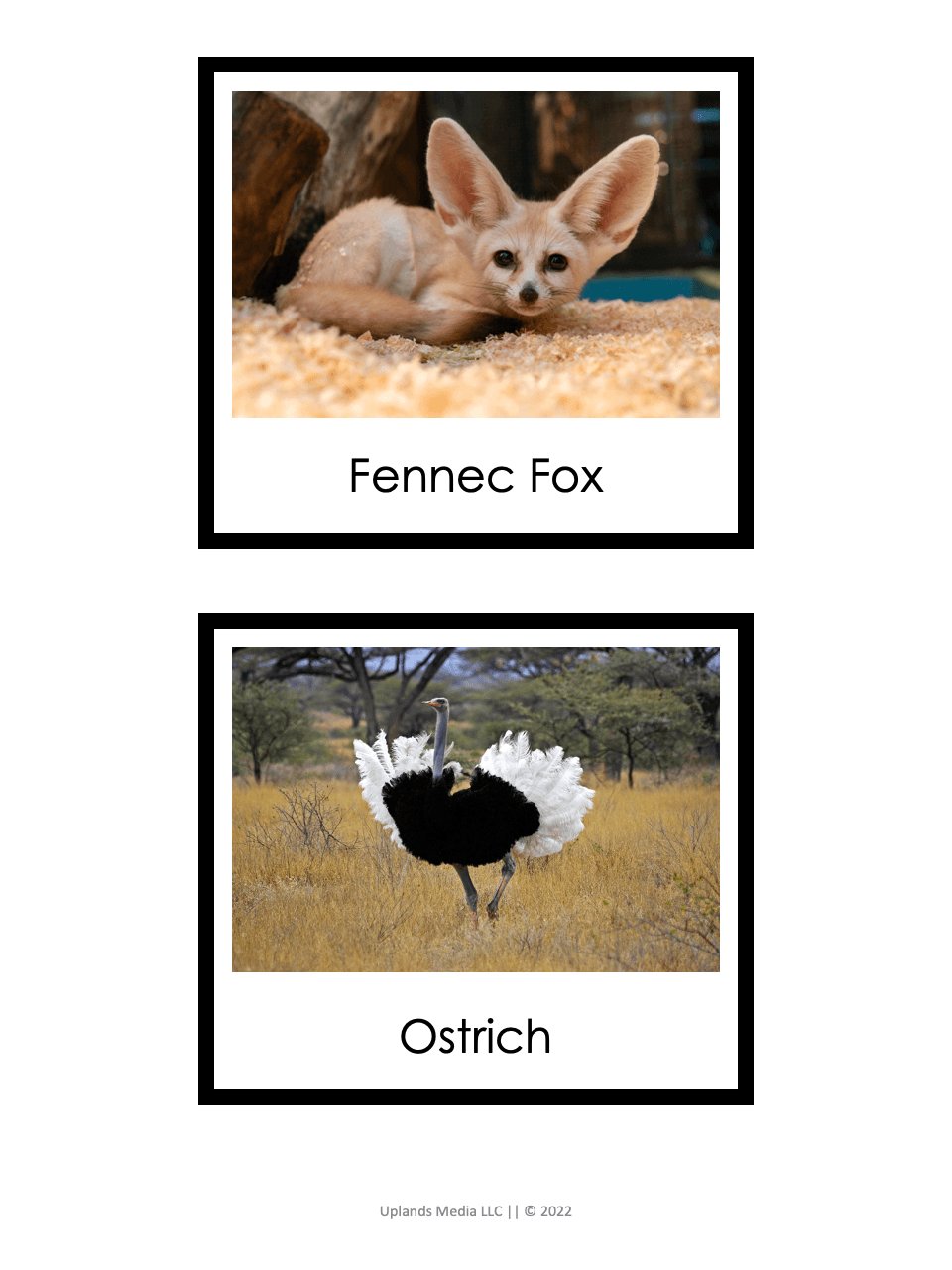 [Geography] Animals of the World by Continent - Printables by Carrots Are Orange