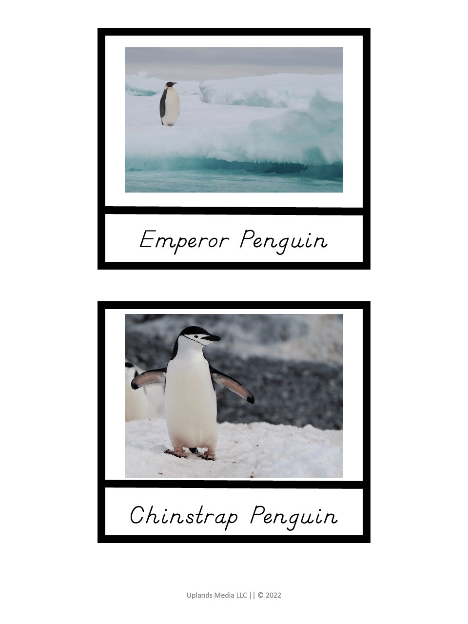 [Geography] Animals of the World by Continent - Printables by Carrots Are Orange