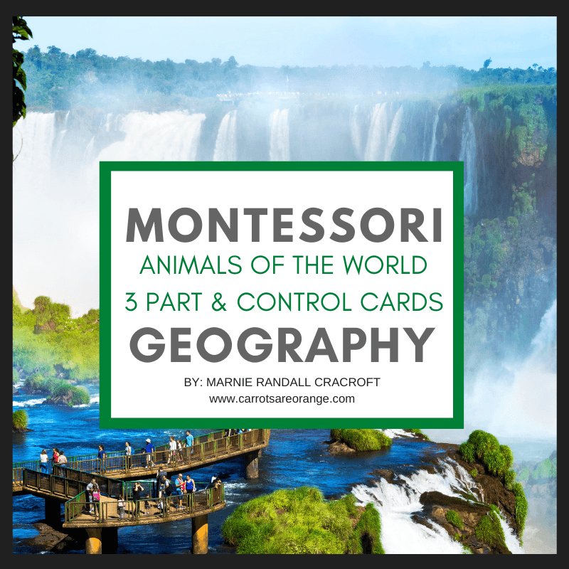 [Geography] Animals of the World by Continent - Printables by Carrots Are Orange
