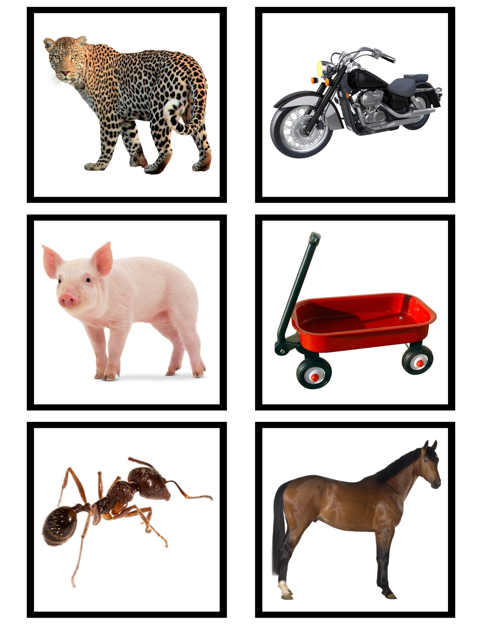 [Geography] Land, Air, Water Sort - Printables by Carrots Are Orange