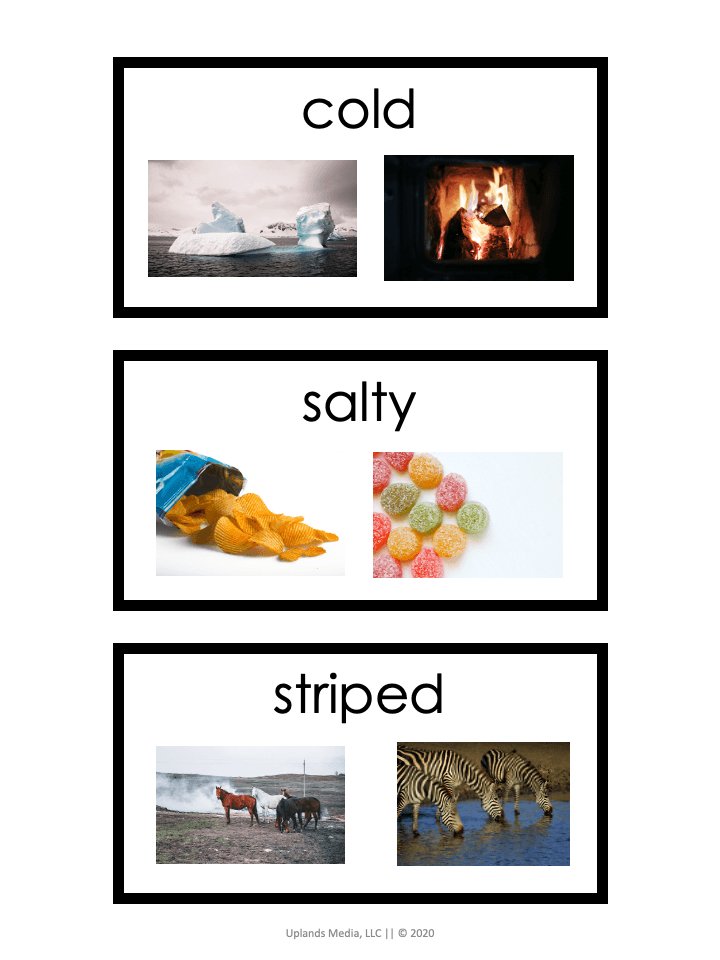 [Grammar] Adjectives Activities - Printables by Carrots Are Orange