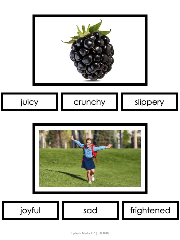 [Grammar] Adjectives Activities - Printables by Carrots Are Orange